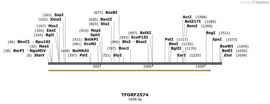 281015_map