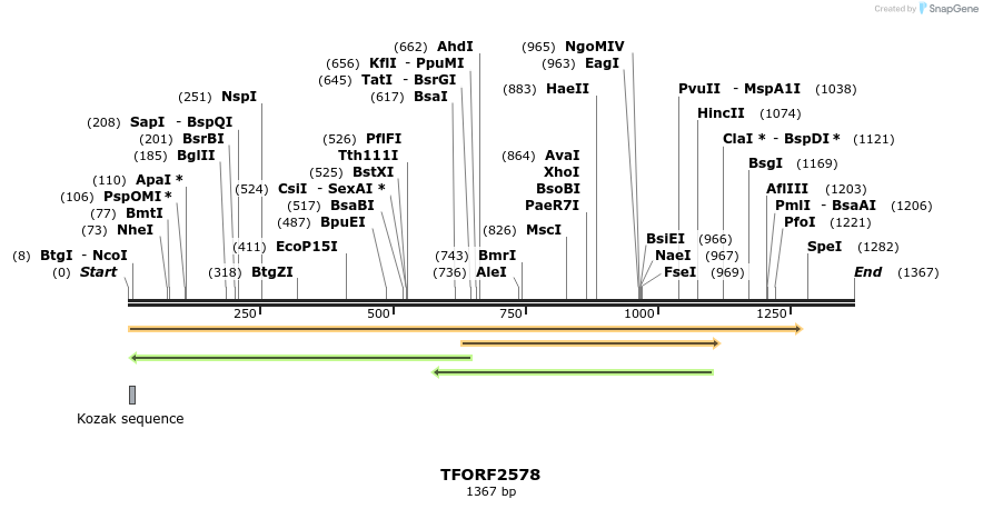 281018_map
