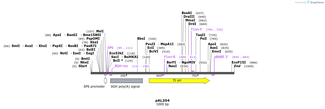 28102_map
