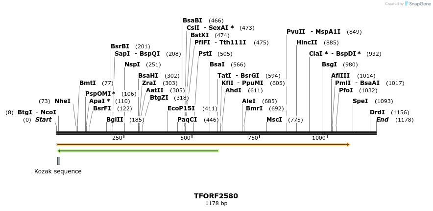 281021_map