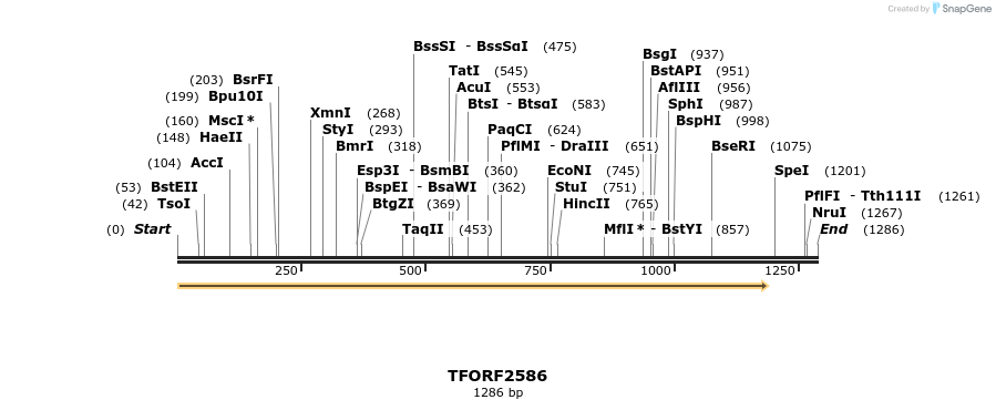 281024_map