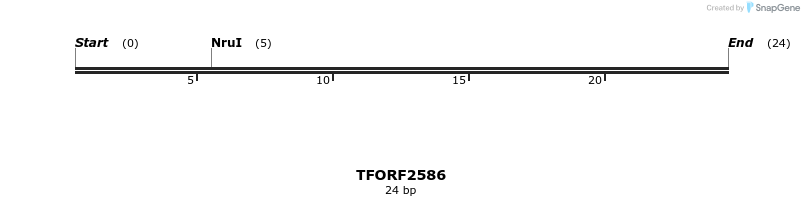 281025_map