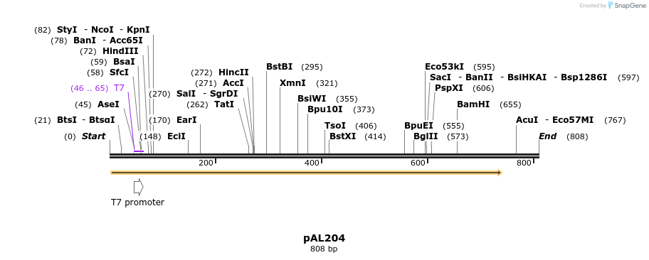 28103_map
