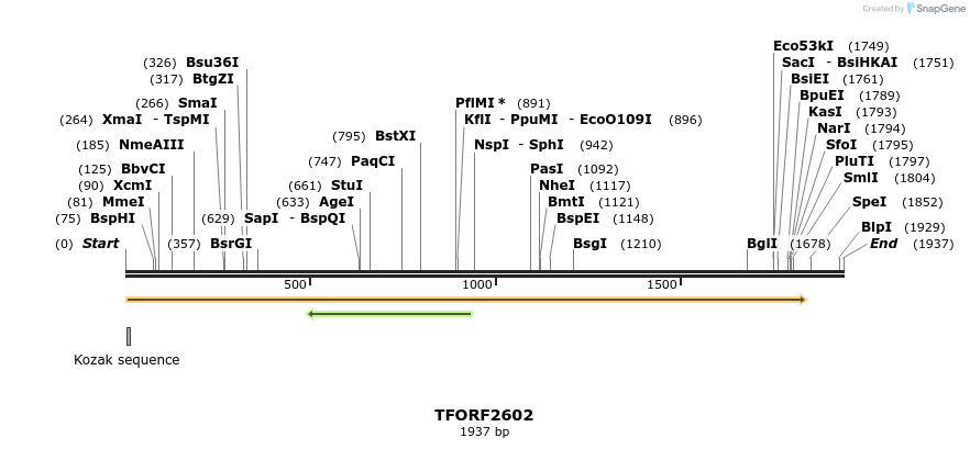 281030_map
