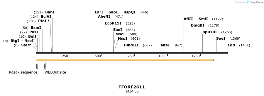 281033_map