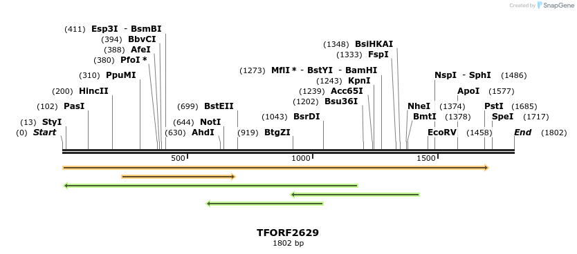 281036_map