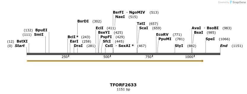281039_map
