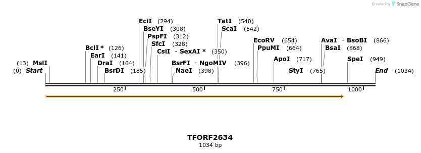 281042_map