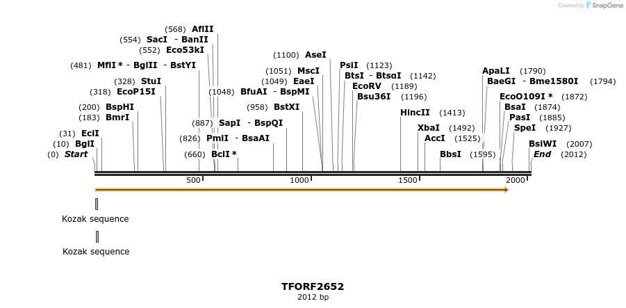 281045_map