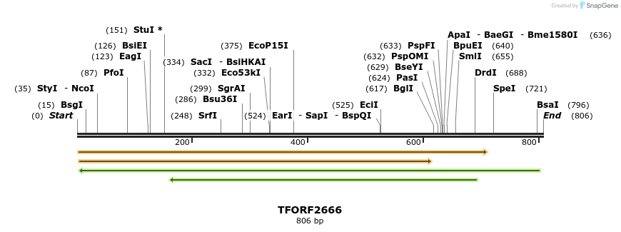 281048_map