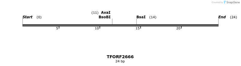 281049_map