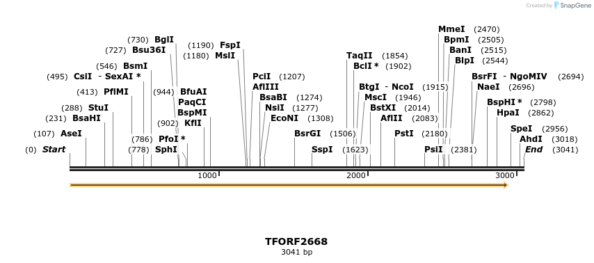 281051_map