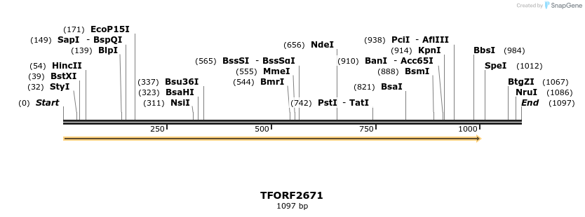 281054_map
