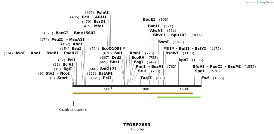 281057_map