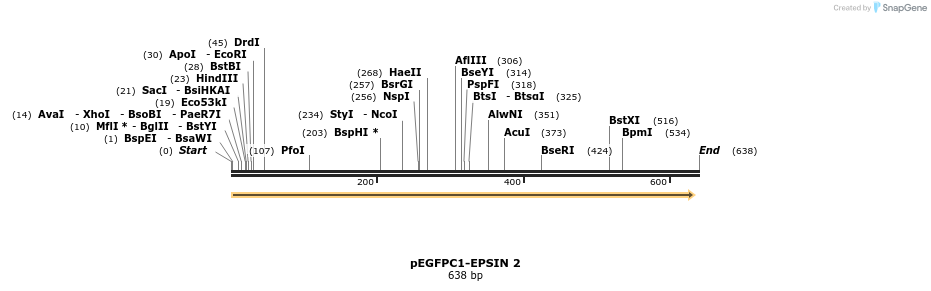 28106_map