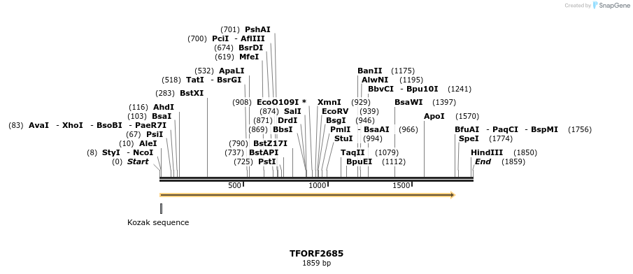 281060_map