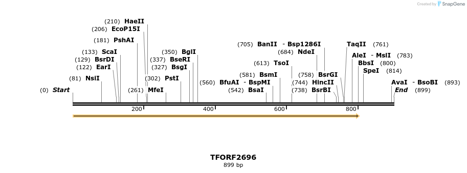 281066_map