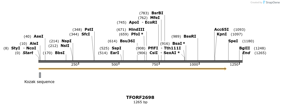 281069_map
