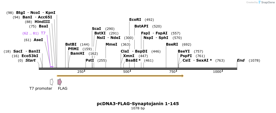 28107_map