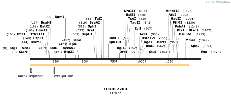 281072_map