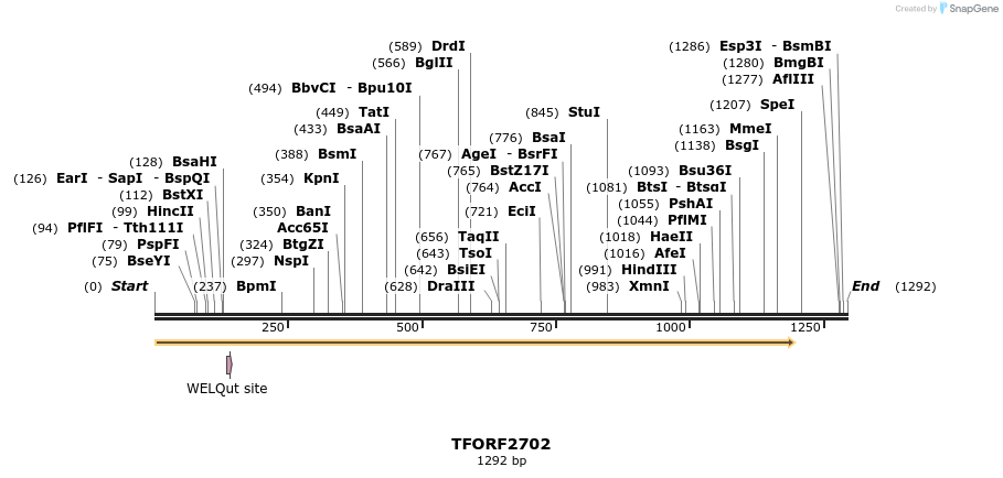 281075_map