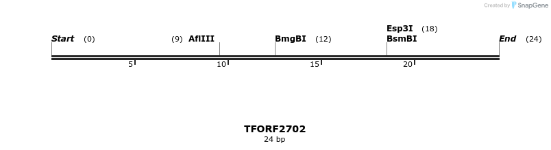 281076_map