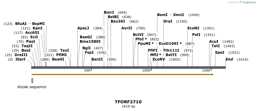 281078_map