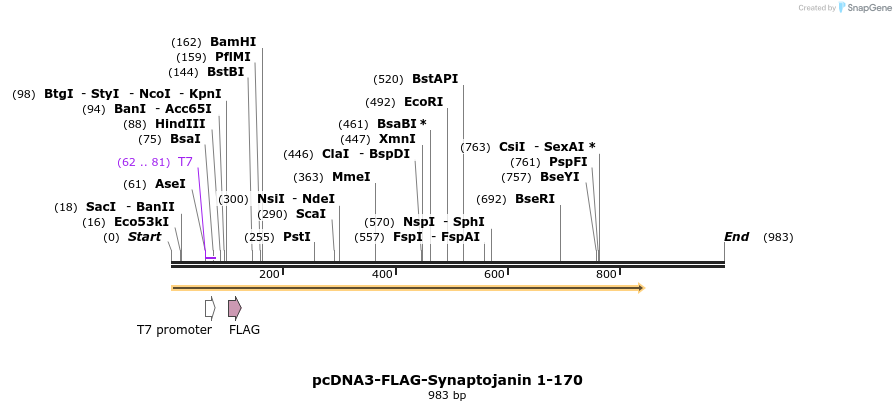 28108_map