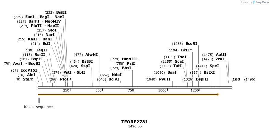 281084_map