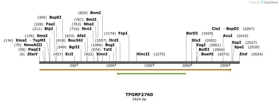 281087_map