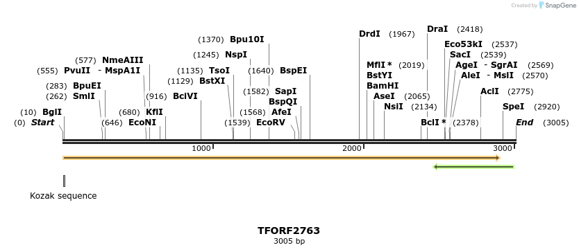 281090_map