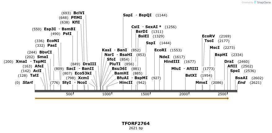281093_map
