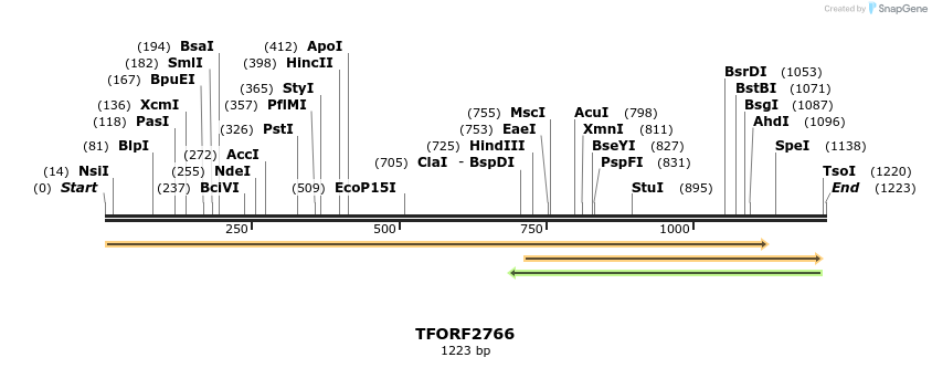 281096_map