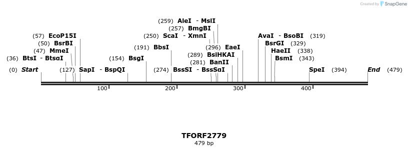 281099_map