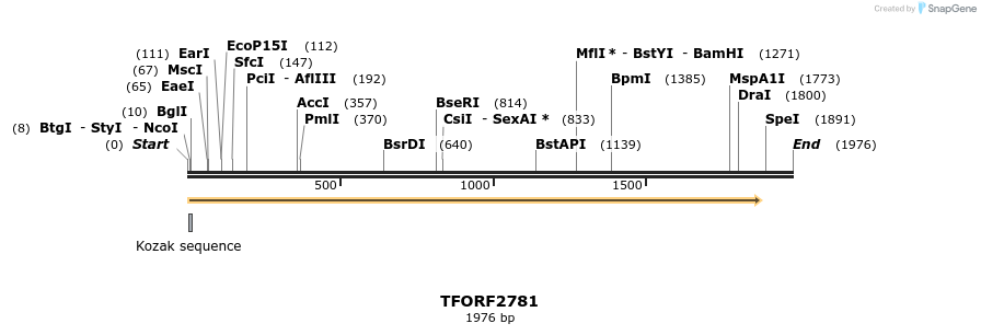 281102_map