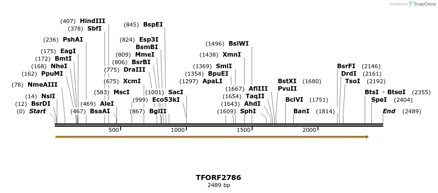 281105_map