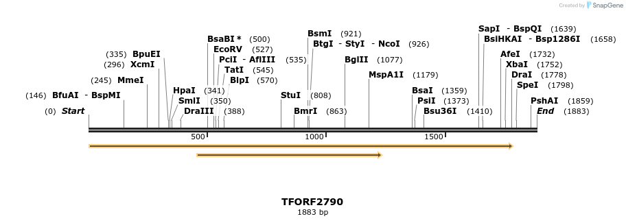 281108_map