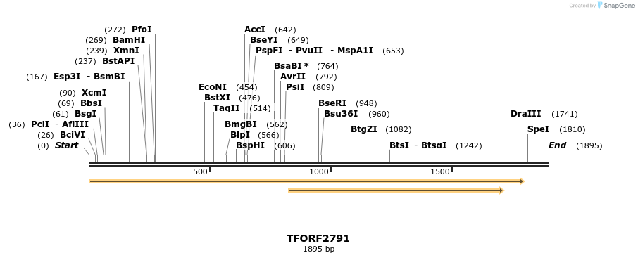 281111_map