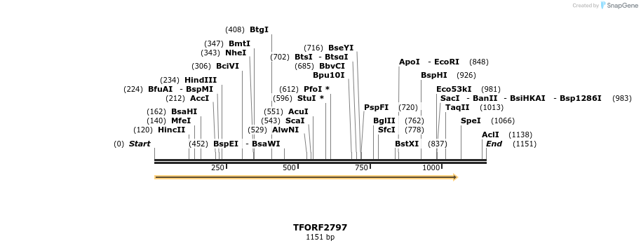 281117_map