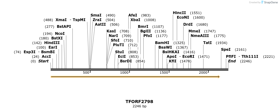 281120_map