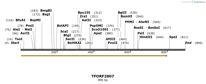 281123_map