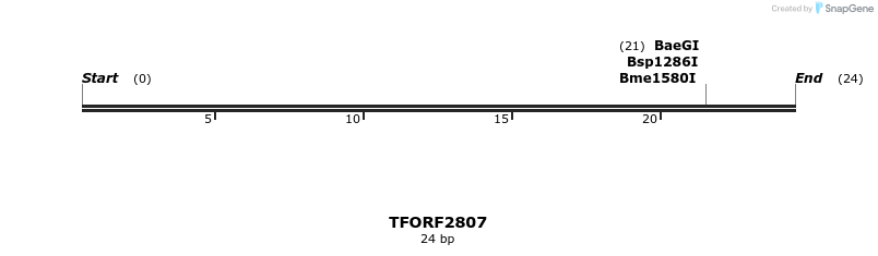 281124_map