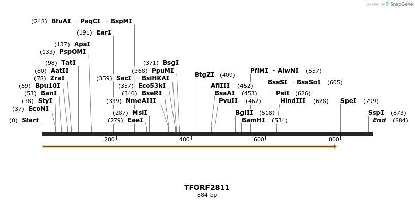 281126_map