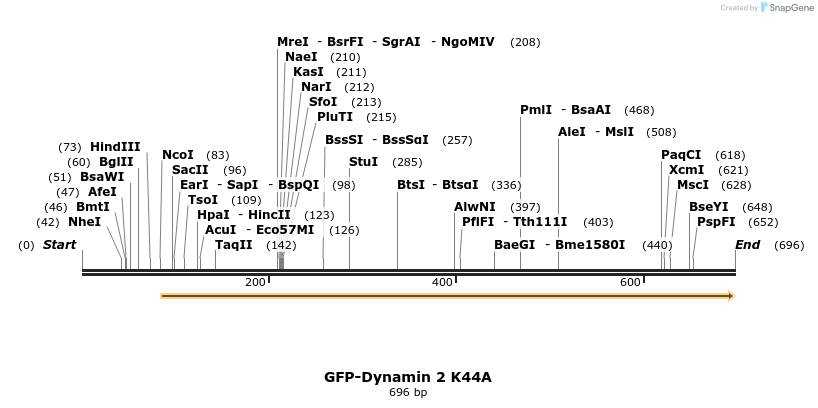 28113_map