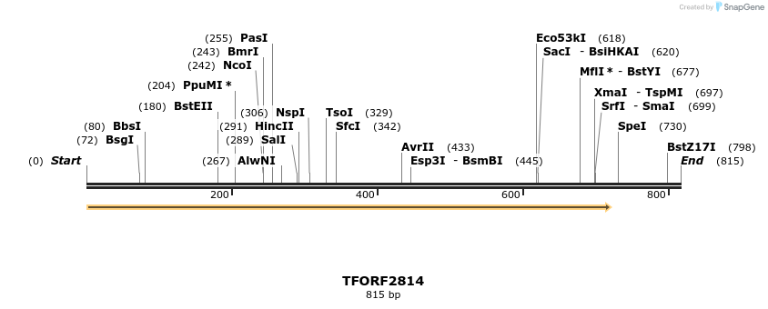 281132_map