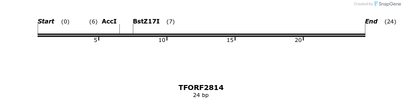 281133_map