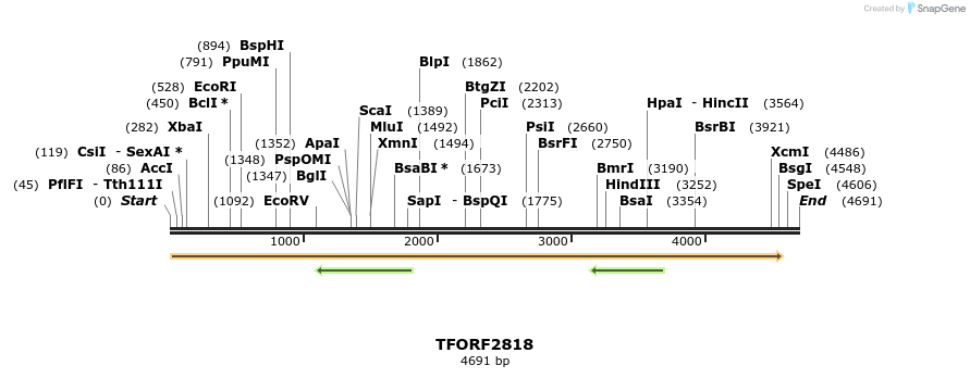 281135_map