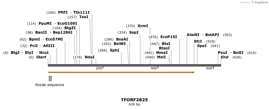 281138_map