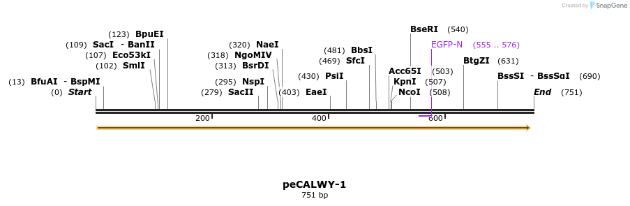 28114_map