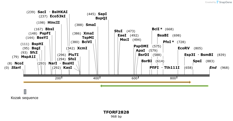 281141_map